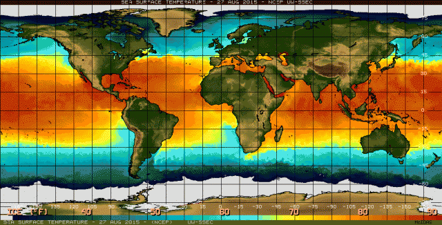 latest_sst-640x326.gif