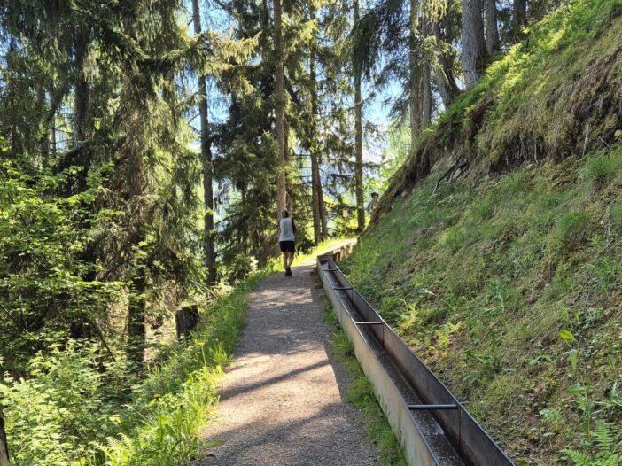 hiking in the forest