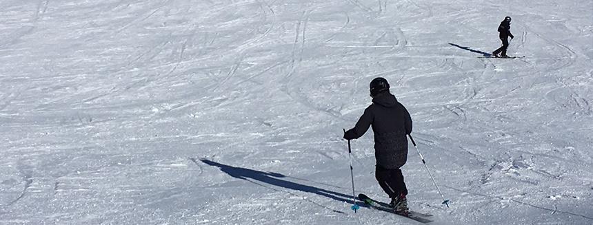 Telemark ski lessons european snowsport