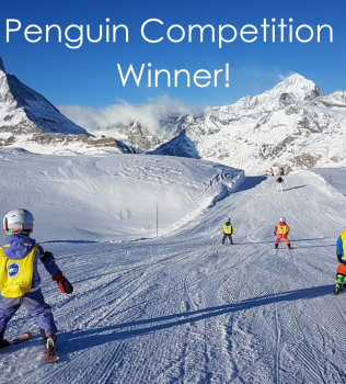 Penguin Competition WINNER