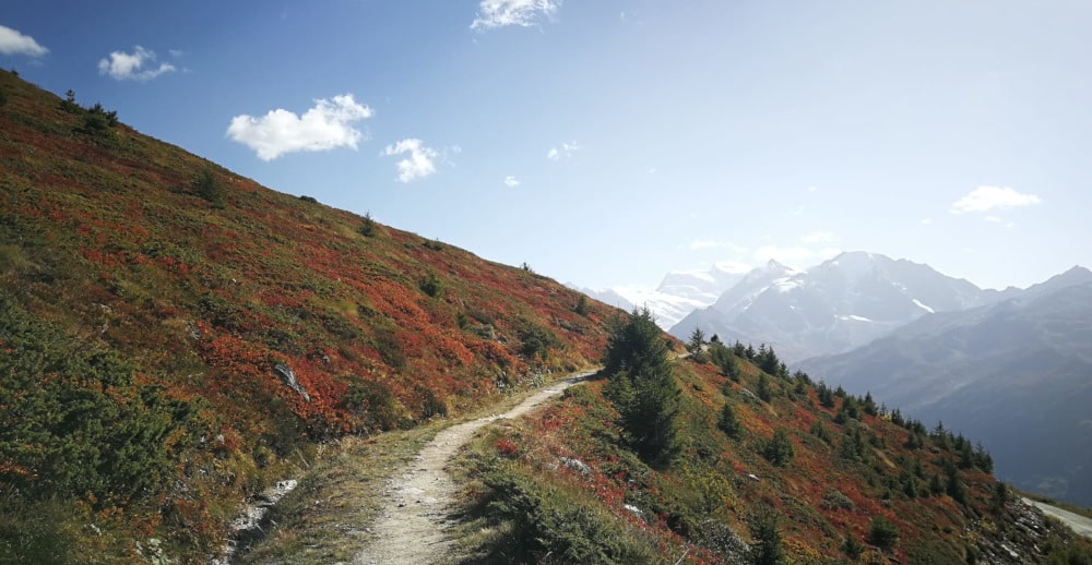 Hiking and mountain walking in summer in the Swiss Alps