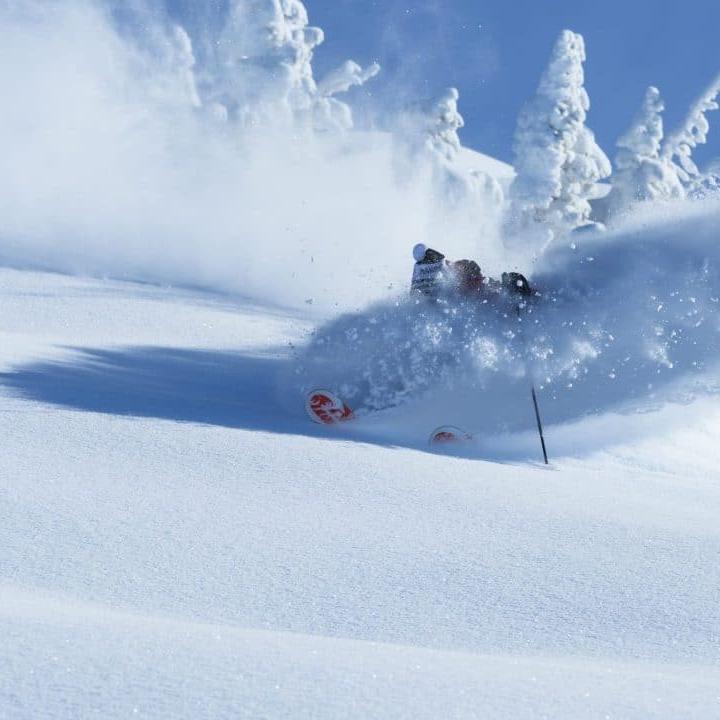 European Snowsport Ski School Verbier Zermatt Nendaz St Moritz Chamonix